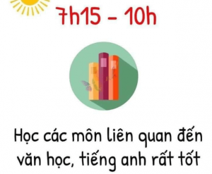 học về ngôn ngữ xã hội và văn học