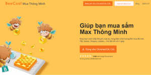 web rao vặt beecost