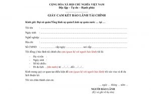 Cam kết về bảo lãnh tài chính