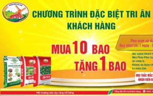 công ty phân bón Hà Lan