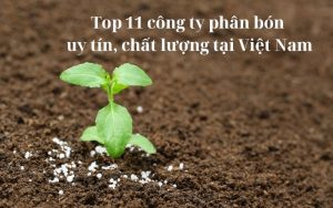 công ty phân bón