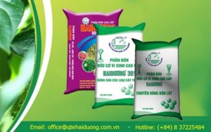 Công ty cổ phần quốc tế Hải Dương