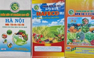phân bón Hà Nội HAFECO