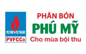 công ty phân bón phú mỹ (PVFCCo)