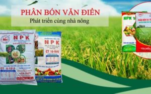 Công ty phân bón Văn Điển