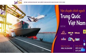 công ty Đại Việt Davitrans